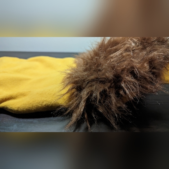 Dog costume - Picture 6 of 7